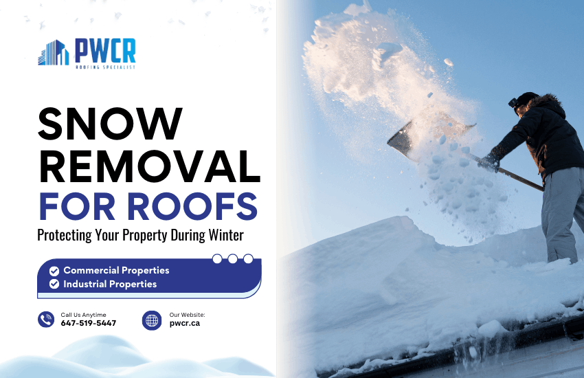 Snow Removal for Roofs
